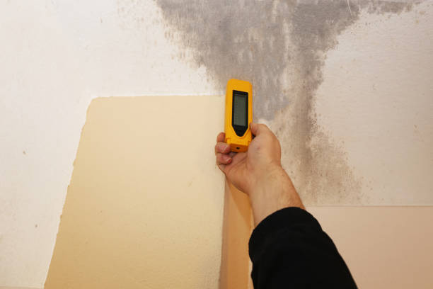Manning, SC Mold Removal Company