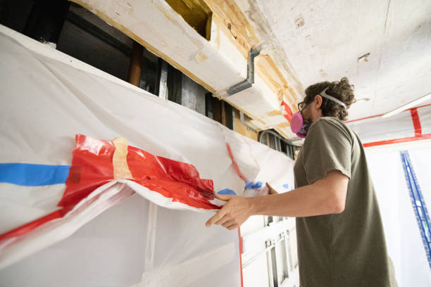 Best Mold Remediation for Healthcare Facilities  in Manning, SC
