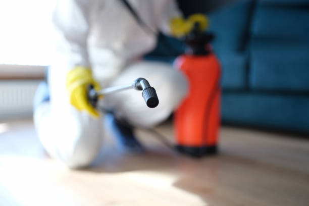 Best HVAC Mold Inspection and Cleaning  in Manning, SC