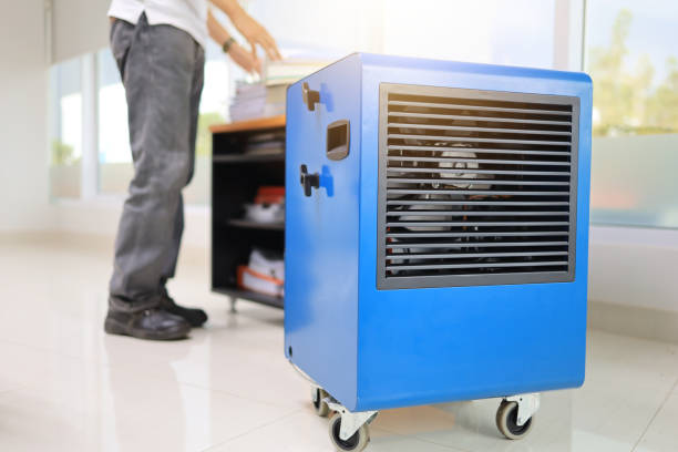 Dehumidification Services in Manning, SC