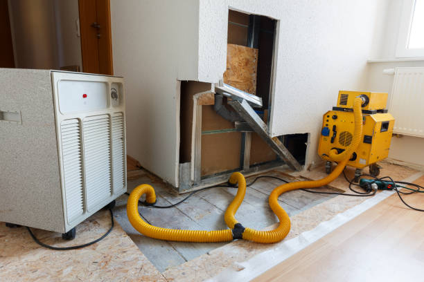Best Mold Removal for HVAC Installations  in Manning, SC